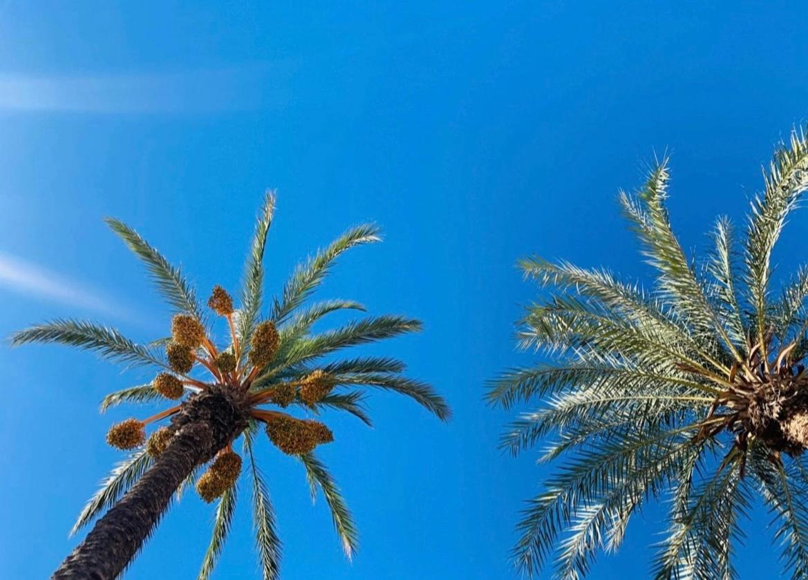 דירות טורבייחה La Margarita מראה חיצוני תמונה